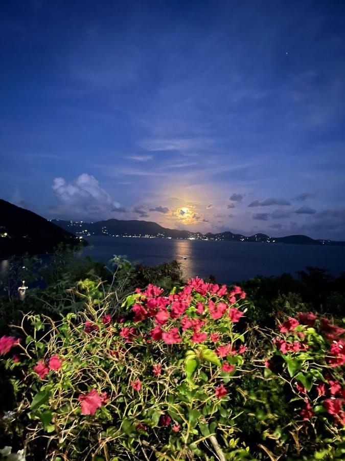 Ocean View Villas Jost Van Dyke Extérieur photo